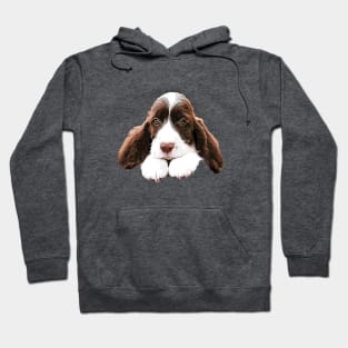 Springer Spaniel Cute Puppy Paws Hoodie